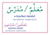 Gateway to Arabic Flashcards Set 2