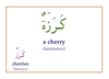 Gateway to Arabic Flashcards Set 3